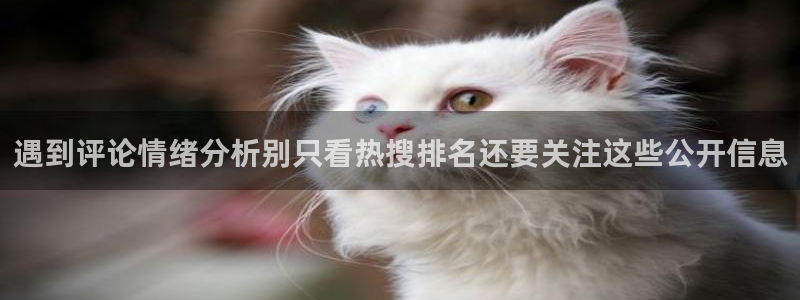 国产吃瓜在线：遇到评论情绪分析别只看热搜排名还要关注这些公开信息
