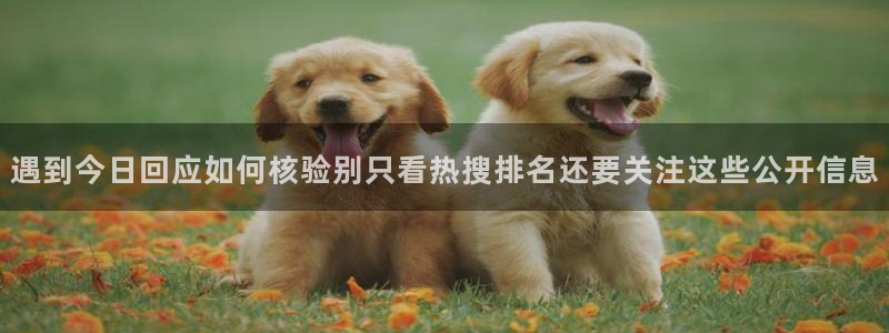 91黑料吃瓜网