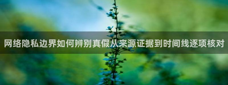 在线吃瓜:网络隐私边界如何辨别真假从来源证据到时间线逐项核对