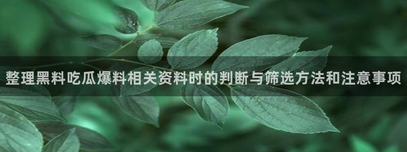 五一吃瓜:整理黑料吃瓜爆料相关资料时的判断与筛选方法和注意事项