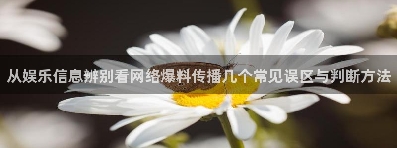 吃瓜网爆料:从娱乐信息辨别看网络爆料传播几个常见误区与判断方法