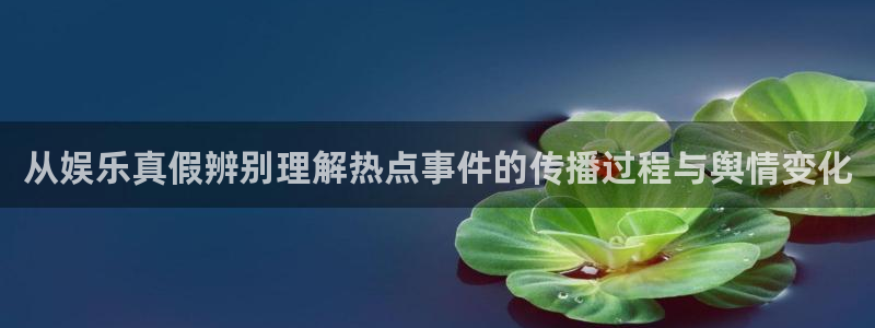 海角吃瓜：从娱乐真假辨别理解热点事件的传播过程与舆情变化