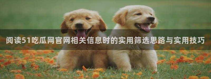 每日吃瓜：阅读51吃瓜网官网相关信息时的实用筛选思路与实用技巧